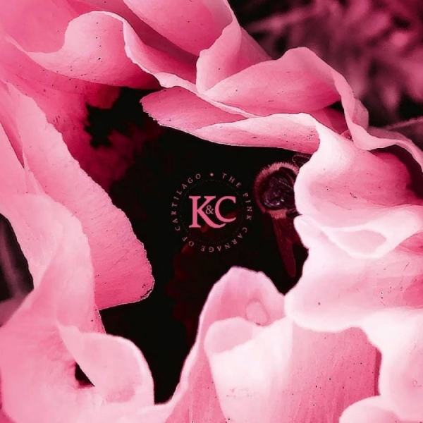 Kolman & Calvert - The Pink Carnage Of Cartilago in der Gruppe CD / Pop-Rock bei Bengans Skivbutik AB (5694184)