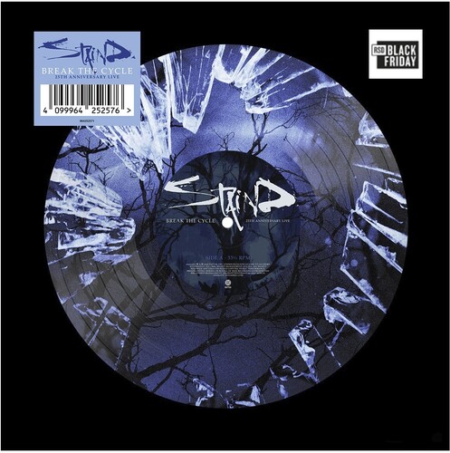 Staind - Break The Cycle (25Th Anniversary Live) (Picture Disc) (Rsd) in der Gruppe VINYL / Hårdrock bei Bengans Skivbutik AB (5694326)