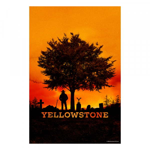 Movie - Yellowstone - Complete Series (13-disc Blu-ray Box) in der Gruppe FILM / Film Blu-ray bei Bengans Skivbutik AB (5694344)