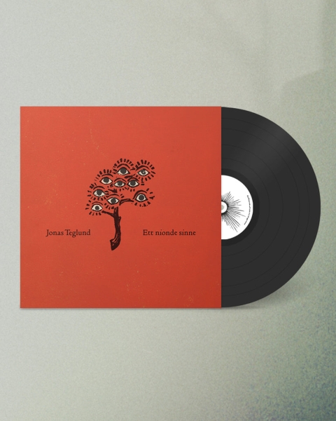 Jonas Teglund - Ett Nionde Sinne in der Gruppe VINYL / Pop-Rock bei Bengans Skivbutik AB (5694504)