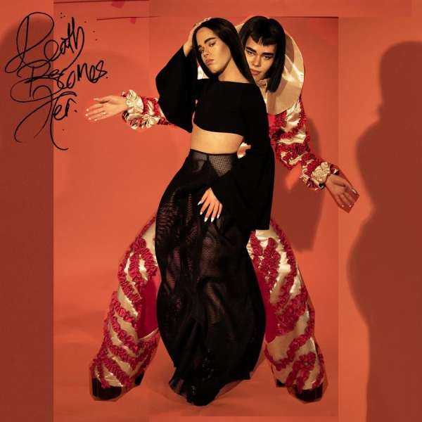 Angel-Ho - Death Becomes Her in der Gruppe VINYL / Pop-Rock bei Bengans Skivbutik AB (5694660)