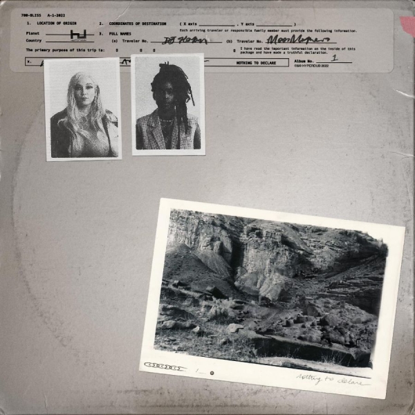 700 Bliss - Nothing To Declare in der Gruppe CD / Pop-Rock bei Bengans Skivbutik AB (5694690)