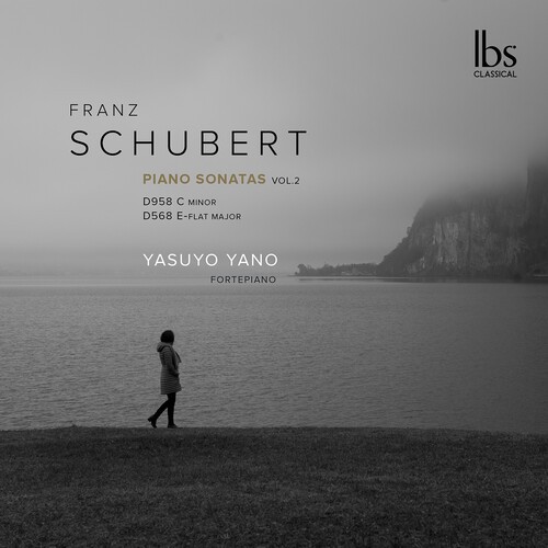 Franz Schubert - Fortepiano Sonatas in der Gruppe CD / Klassiskt bei Bengans Skivbutik AB (5695585)