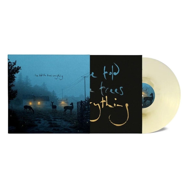 Dermot Kennedy - I've Told The Trees Everything in der Gruppe VINYL / Pop-Rock bei Bengans Skivbutik AB (5695611)