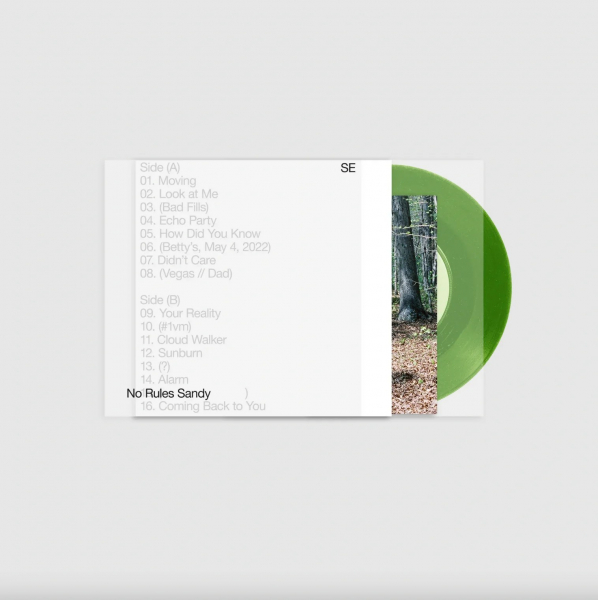 Sylvan Esso - No Rules Sandy in der Gruppe VINYL / Pop-Rock bei Bengans Skivbutik AB (5695652)