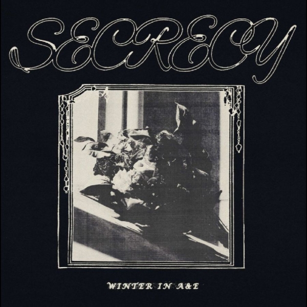 Secrecy - Winter In A&E in der Gruppe VINYL / Kommande / Pop-Rock bei Bengans Skivbutik AB (5695690)