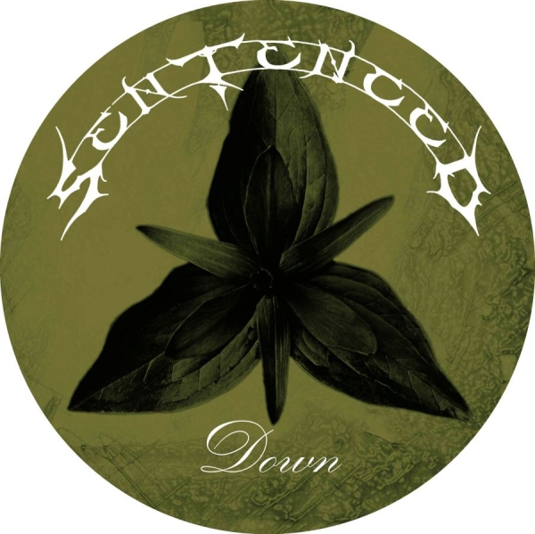 Sentenced - Down (Picture Disc Vinyl Lp) in der Gruppe VINYL / Hårdrock bei Bengans Skivbutik AB (5696685)