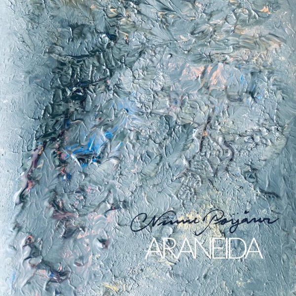 Ninni Poijärvi - Araneida in der Gruppe VINYL / Kommande / Pop-Rock bei Bengans Skivbutik AB (5696715)