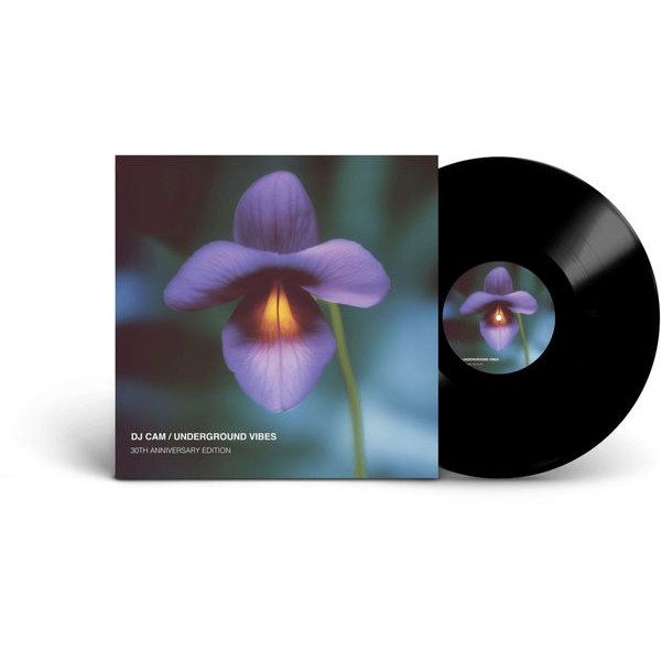 DJ Cam - Underground Vibes in der Gruppe VINYL / Bestseller bei Bengans Skivbutik AB (5696939)
