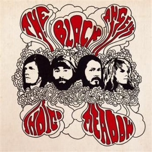 Black Angels - Indigo Meadow in der Gruppe CD bei Bengans Skivbutik AB (569717)