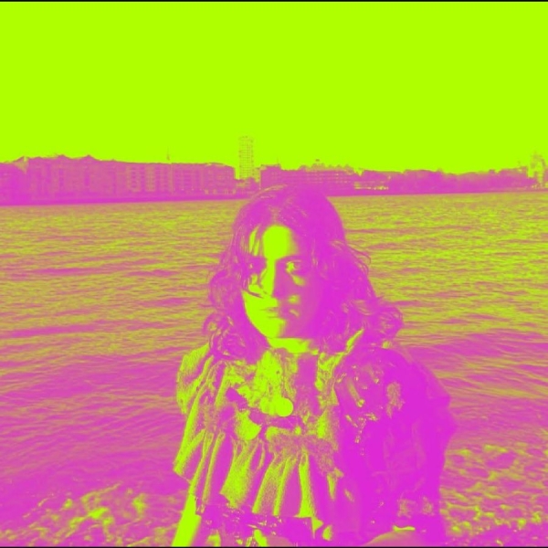Lottie Brazier - On Course But No-One There To Salut in der Gruppe VINYL / Kommande / Pop-Rock bei Bengans Skivbutik AB (5697517)