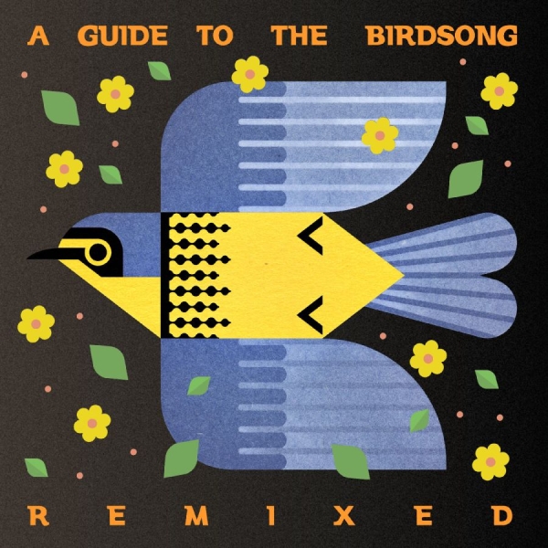 Various Artists - A Guide To The Birdsong Remixed in der Gruppe CD / Meistvorbestellt bei Bengans Skivbutik AB (5697668)