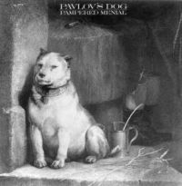 Pavlov's Dog - Pampered Menial in der Gruppe CD bei Bengans Skivbutik AB (570756)