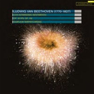 Beethoven - Con Intimissimo Sentimento in der Gruppe Externt_Lager / Naxoslager bei Bengans Skivbutik AB (572571)
