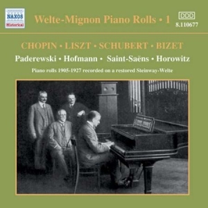 Various Artists - Welte-Mignon Vol 1 in der Gruppe CD / Klassiskt bei Bengans Skivbutik AB (572953)