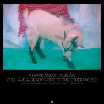 Hawk And A Hacksaw - You Have Already Gone To The Other in der Gruppe CD / Worldmusic/ Folkmusik bei Bengans Skivbutik AB (575200)