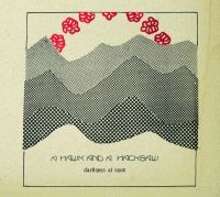 Hawk And A Hacksaw A - Darkness At Noon in der Gruppe CD / Pop-Rock bei Bengans Skivbutik AB (575694)