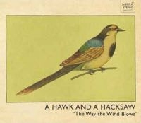 Hawk And A Hacksaw A - The Way The Wind Blows in der Gruppe CD bei Bengans Skivbutik AB (575697)