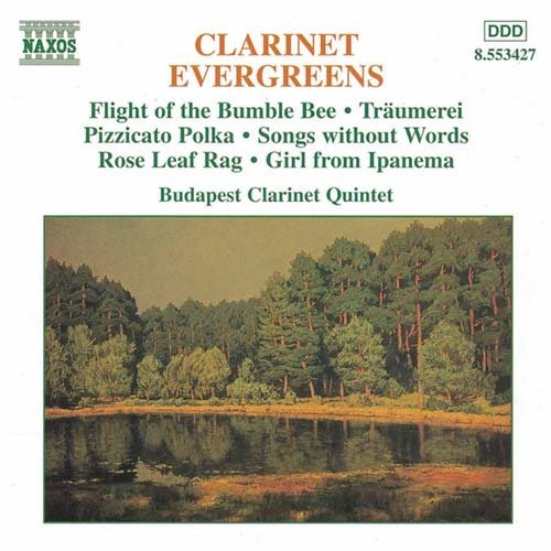 Various - Clarinet Evergreens in der Gruppe CD / Bestseller bei Bengans Skivbutik AB (578695)