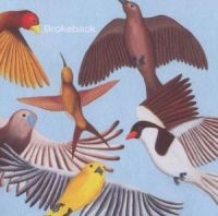 Brokeback - Looks At The Bird in der Gruppe CD bei Bengans Skivbutik AB (580297)