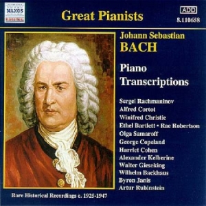Bach Johann Sebastian - Piano Transcriptions in der Gruppe CD bei Bengans Skivbutik AB (580726)