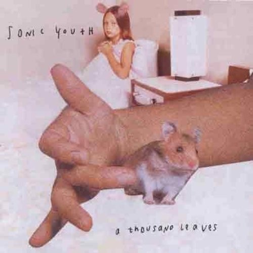 Sonic Youth - Thousand Leaves in der Gruppe CD / Pop bei Bengans Skivbutik AB (581004)