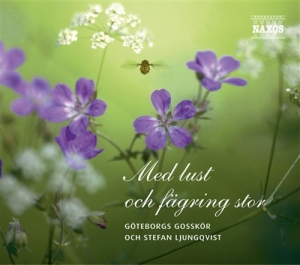 Göteborgs Gosskör - Med Lust Och Fägring Stor in der Gruppe CD / Övrigt bei Bengans Skivbutik AB (581241)