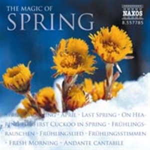 Various - S Spring-Seasons (Magic O in der Gruppe CD bei Bengans Skivbutik AB (581440)