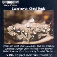 Various - Scandanavian Choral Music in der Gruppe CD bei Bengans Skivbutik AB (581794)