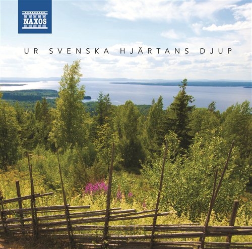 Various - Ur Svenska Hjärtans Djup in der Gruppe CD / Pop-Rock bei Bengans Skivbutik AB (587164)