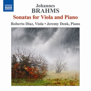 Brahms - Viola Sonatas in der Gruppe Externt_Lager / Naxoslager bei Bengans Skivbutik AB (594408)