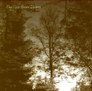New Grove Project - Brill in der Gruppe CD / Hårdrock/ Heavy metal bei Bengans Skivbutik AB (595246)