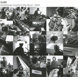 Gubb - 2004 in der Gruppe CD bei Bengans Skivbutik AB (595292)