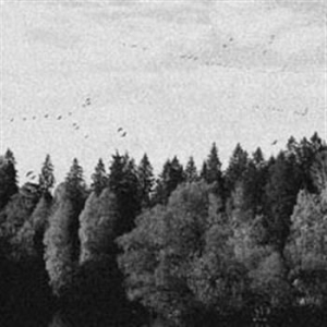 October Falls - A Collapse Of Faith in der Gruppe CD bei Bengans Skivbutik AB (595480)