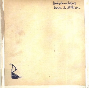 Babyshambles - Down In Albion in der Gruppe CD bei Bengans Skivbutik AB (595958)