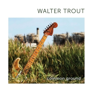Walter Trout - Common Ground in der Gruppe CD / Blues,Pop-Rock bei Bengans Skivbutik AB (596529)