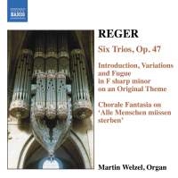 Reger Max - Organ Works Vol 6 in der Gruppe CD bei Bengans Skivbutik AB (598572)