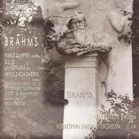 Brahms Johannes - Piano Quartet No 1 in der Gruppe Externt_Lager / Naxoslager bei Bengans Skivbutik AB (599272)