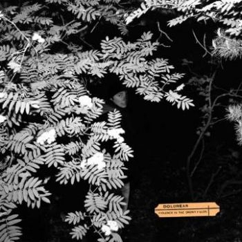 Dolorean - Violence In The Snowy Fields in der Gruppe CD / Bestseller bei Bengans Skivbutik AB (601160)