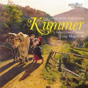 Kummer - Chamber Music For Winds in der Gruppe Externt_Lager / Naxoslager bei Bengans Skivbutik AB (601609)