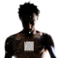 Tricky - False Idols in der Gruppe CD / Pop-Rock bei Bengans Skivbutik AB (602367)