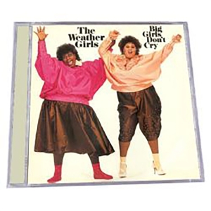 Weather Girls - Success - Expanded Edition in der Gruppe CD / Pop-Rock bei Bengans Skivbutik AB (602948)