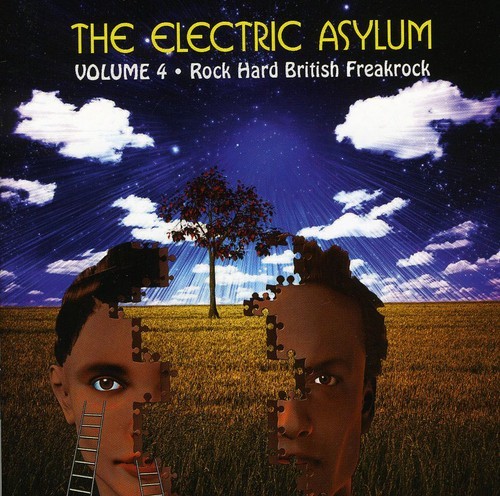 Various Artists - Electric Asylum Vol 4 in der Gruppe CD / Rock bei Bengans Skivbutik AB (603424)