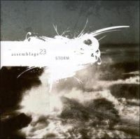 Assemblage 23 - Storm in der Gruppe CD bei Bengans Skivbutik AB (603524)