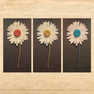 Telemachus - In The Evening in der Gruppe CD / Pop-Rock bei Bengans Skivbutik AB (603908)