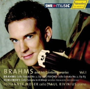 Brahms Fuchs Zemlinsky - V 1: Brahms And His Contemporaries in der Gruppe CD / Klassiskt bei Bengans Skivbutik AB (604362)