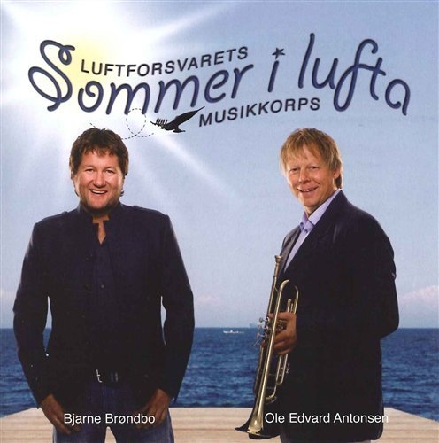 Various - Sommer I Lufta in der Gruppe CD / Bestseller bei Bengans Skivbutik AB (605001)