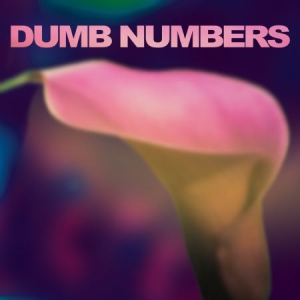 Dumb Numbers - Dumb Numbers in der Gruppe CD bei Bengans Skivbutik AB (611564)