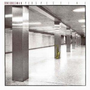 Grossman Steve - Perspective in der Gruppe CD / Jazz bei Bengans Skivbutik AB (612116)
