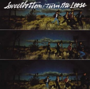 Sweetbottom - Turn Me Loose in der Gruppe CD bei Bengans Skivbutik AB (612525)